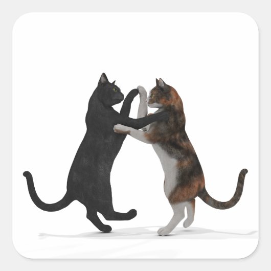 Zoete dansende katten vierkante sticker (Voorkant)