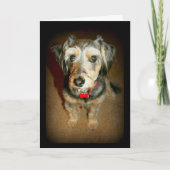 Zoete Dog denken aan jou Kaart (Voorkant)