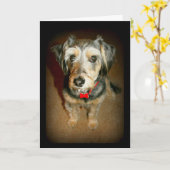 Zoete Dog denken aan jou Kaart (Gele Bloem)