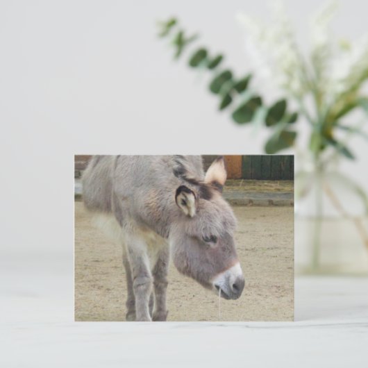 Zoete Donkey, Animal Grey, Horse Family Briefkaart (Staand voorkant)