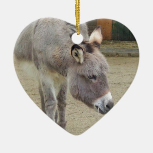 Zoete Donkey, Animal Grey, Horse Family Keramisch Ornament (Voorkant)