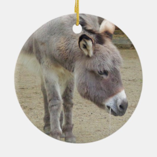Zoete Donkey, Animal Grey, Horse Family Keramisch Ornament (Achterkant)