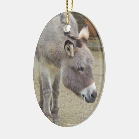 Zoete Donkey, Animal Grey, Horse Family Keramisch Ornament (Links)