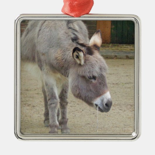 Zoete Donkey, Animal Grey, Horse Family Metalen Ornament (Voorkant)