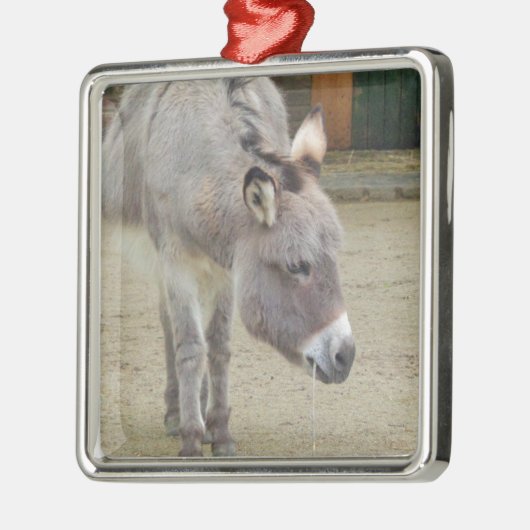 Zoete Donkey, Animal Grey, Horse Family Metalen Ornament (Links)