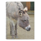 Zoete Donkey, Animal Grey, Horse Family Notitieboek (Voorkant)