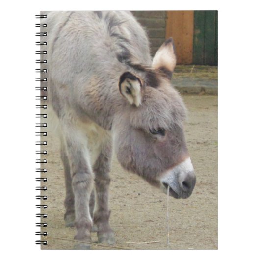 Zoete Donkey, Animal Grey, Horse Family Notitieboek (Voorkant)