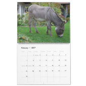 Zoete Donkeys het hele jaar Kalender (Feb 2027)