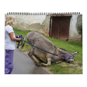 Zoete Donkeys het hele jaar Kalender