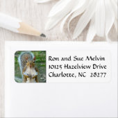 Zoete eekhoorntjesfacetten Retouradreslabels Etiket (Insitu)