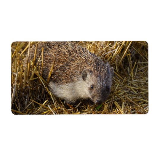 Zoete egel in een dingetje etiket (Voorkant)