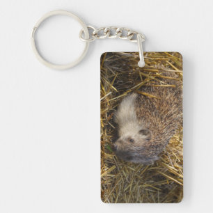 Zoete egel in een dingetje sleutelhanger