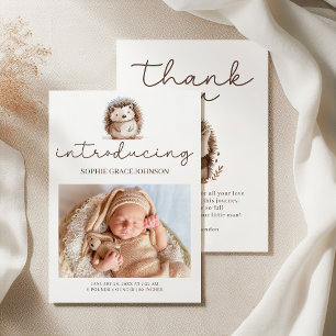 Zoete Egel Introduceert Baby Foto Aankondiging