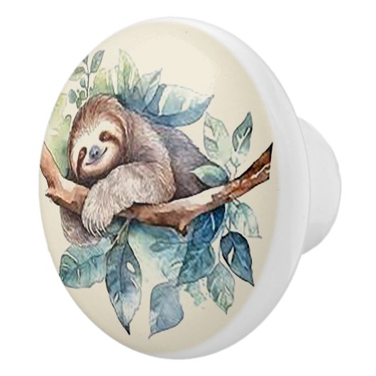 Zoete en langzame ceramische de Deurtrek van de Kn Keramische Knop (Rechts)