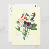 Zoete erwten door Pierre-Joseph Redouté Briefkaart (Voorkant / Achterkant)