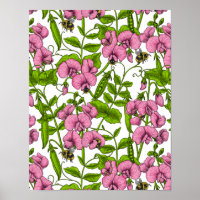Zoete erwten en hommels, roze, groen en wit