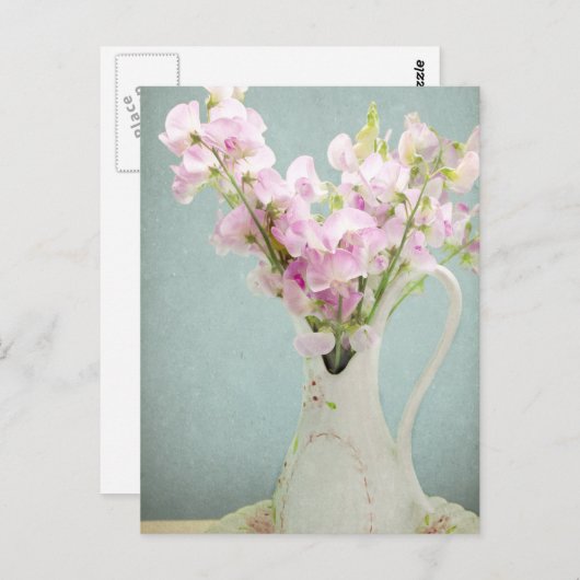 Zoete erwten in Antiek vet Briefkaart (Voorkant / Achterkant)