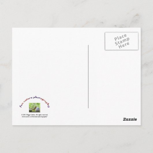 Zoete erwten in Antiek vet Briefkaart (Achterkant)