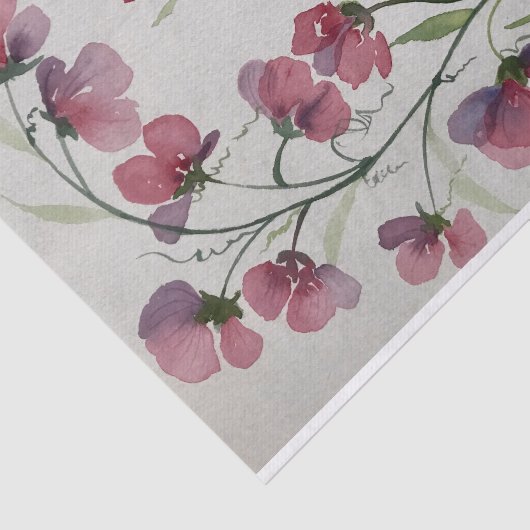 Zoete erwten - tissuepapier (Detail)