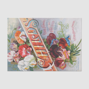Zoete Erwten van 1895 Print Tissue Paper Tissuepapier