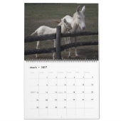 Zoete ezels het hele jaar 2025 kalender (Mar 2027)
