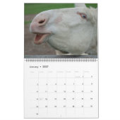 Zoete ezels het hele jaar 2025 kalender (Jan 2027)