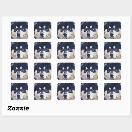 Zoete Finse Lapphund Stickers (Vel)