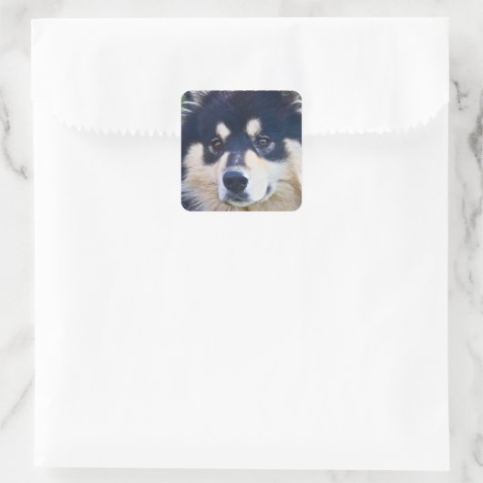 Zoete Finse Lapphund Stickers (Tas)
