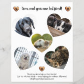 Zoete Fondsenwerving voor Dierenredding Flyer (Achterkant)