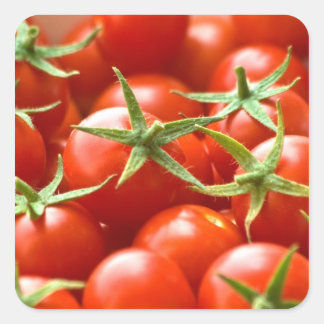 Zoete gepickte Cherry Tomaten Vierkante Sticker