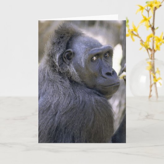 Zoete Gorilla Kaart (Gele Bloem)