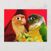 Zoete groene wang conure parkieten in liefde papeg briefkaart (Voorkant)