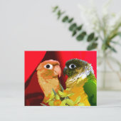 Zoete groene wang conure parkieten in Love Papegaa Briefkaart (Staand voorkant)