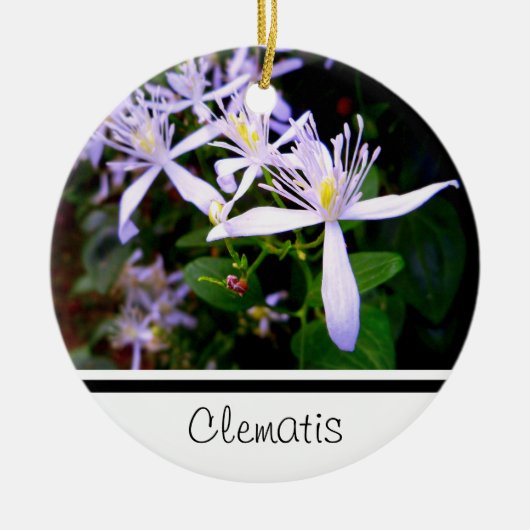Zoete Herfst Clematis Aandenken Ornament (Voorkant)