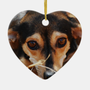Zoete hond leggend in hooi keramisch ornament