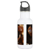 Zoete hond leggend in hooi waterfles  (Achterkant)