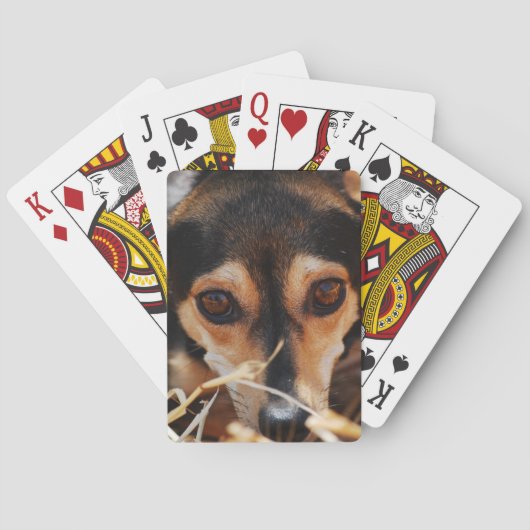 Zoete hond liggend in hooi speelkaarten (Achterkant)