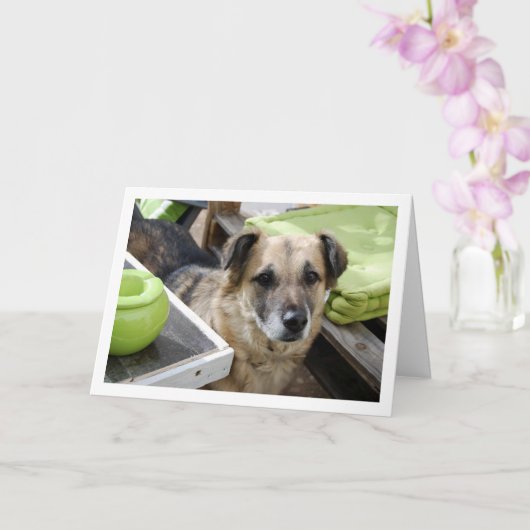 Zoete Hond Portret Kaart (Orchidee)