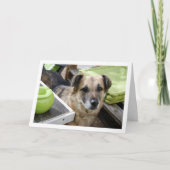 Zoete Hond Portret Kaart (Voorkant)