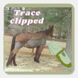 zoete Jamie spoor geknipt Vierkante Sticker