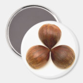 Zoete kastanjes vruchten magneet (Voorkant / Achterkant)