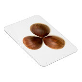 Zoete kastanjes vruchten magneet (Rechterzijde)