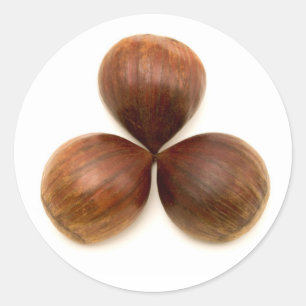 Zoete kastanjes vruchten ronde sticker