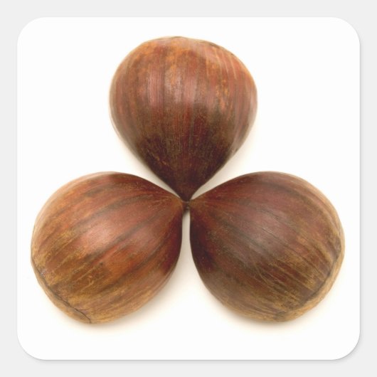 Zoete kastanjes vruchten vierkante sticker (Voorkant)