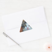 Zoete kat met betoverende ogen sticker (Envelop)