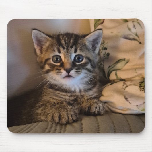 Zoete katje muismat (Voorkant)