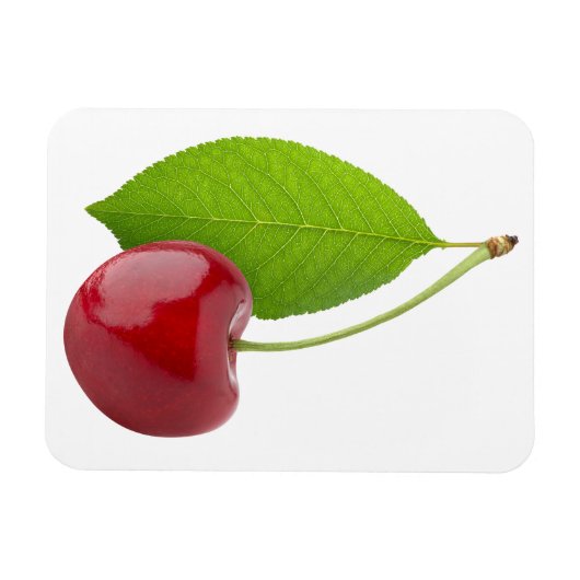 Zoete kers magneet (Horizontaal)
