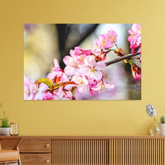 Zoete Kersenbloesems In De Tuin In De Lente Canvas Afdruk (Insitu (Woonkamer))