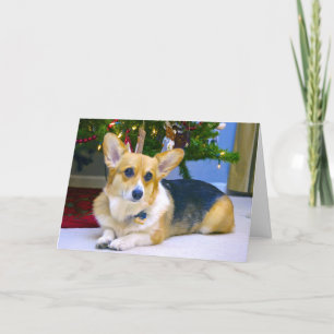 Zoete Kerstmis Corgi Feestdagen Kaart