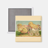  zoete kippen Pasen Magneet (Voorkant / Achterkant)